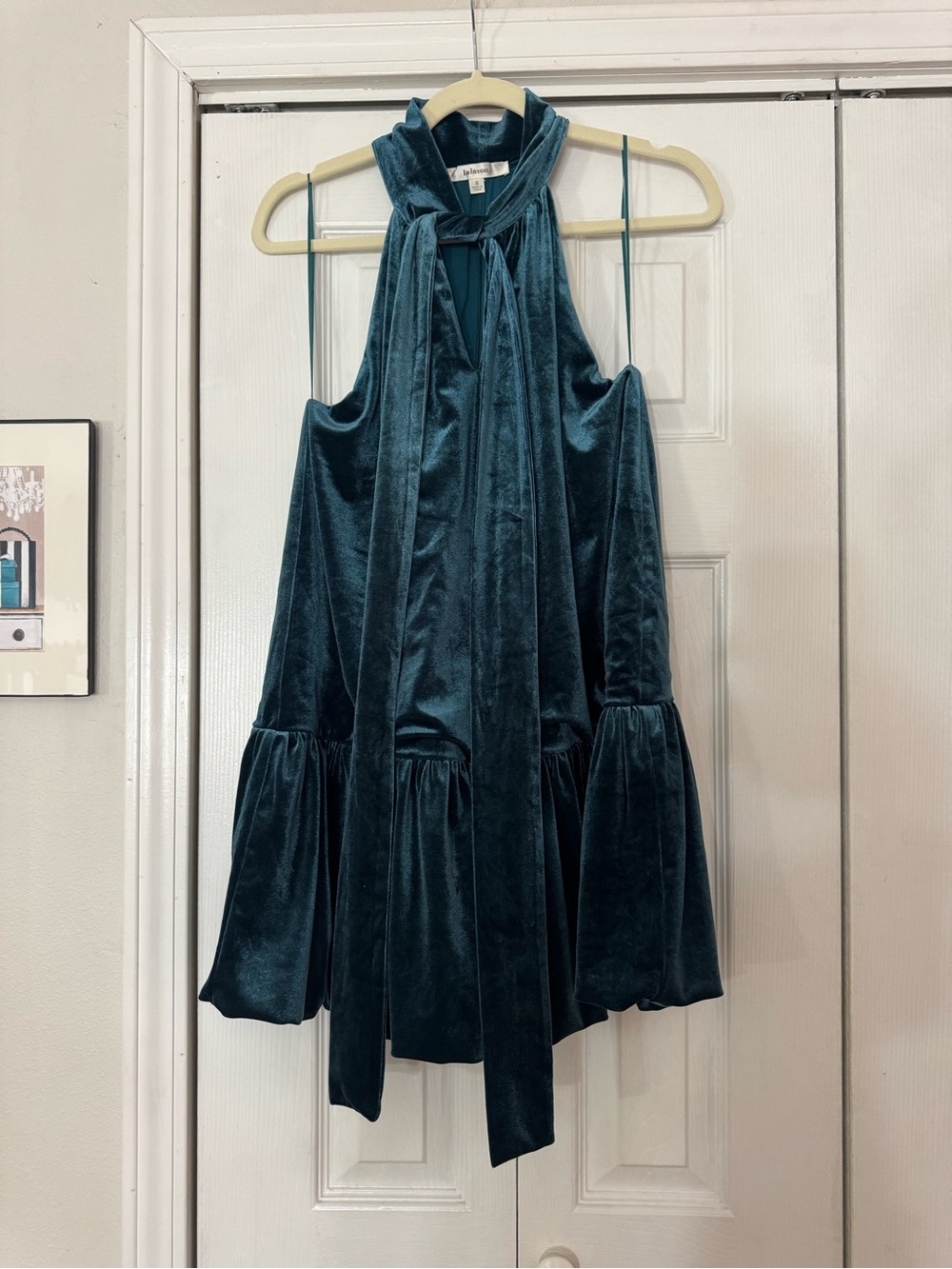La Lavon size small velvet dress